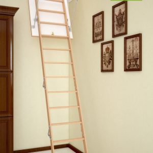 Сходи Драбина для горища BUKWOOD Long Eco – 110*60*305