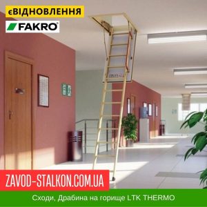 Сходи Драбини для горища у Вінниці