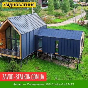 Фальц – Словаччина USS Cosike 0.45 MAT