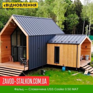 Фальц – Словаччина USS Cosike 0.50 MAT