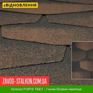 Катепал FORTE ТіБЕТ – Гнучка Бітумна черепиця