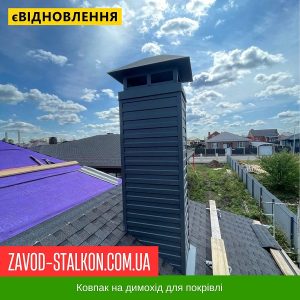 Ковпак для димоходу – №2