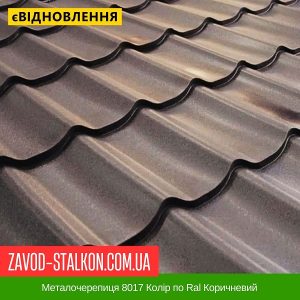 Металочерепиця 8017 Колір по Ral Коричневий