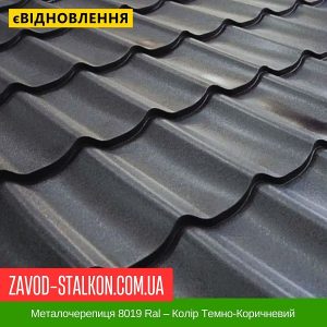 Металочерепиця 8019 Ral – Колір Темно-Коричневий