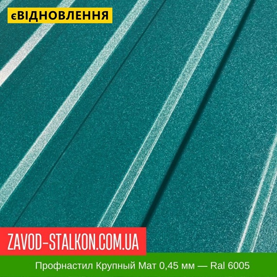 ціна Профнастил Металопрофіль Крупний Мат 0,45 мм - Ral 6005 Вінниця