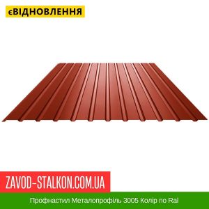 Профнастил Металопрофіль 3005 Колір по Ral