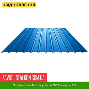 Профнастил Металопрофіль 5005 Колір по Ral