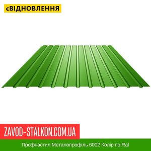 Профнастил Металопрофіль 6002 Колір по Ral