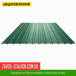Профнастил Металопрофіль 6005 Колір по Ral