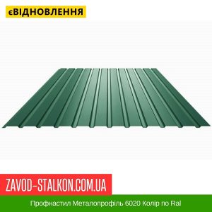 Профнастил Металопрофіль 6020 Колір по Ral
