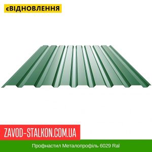 Профнастил Металопрофіль 6029 Ral Салатовий