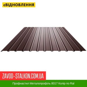 Профнастил Металопрофіль 8017 Колір по Ral