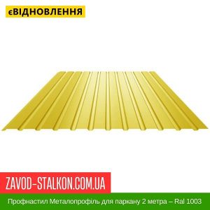Профнастил Металопрофіль для паркану 2 метра – Ral 1003