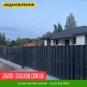 Штахетник Металевий – Колір Ral 9005 Чорний