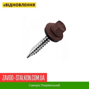 Саморіз Покрівельний по дереву 4,8*35 мм – RAL 8017