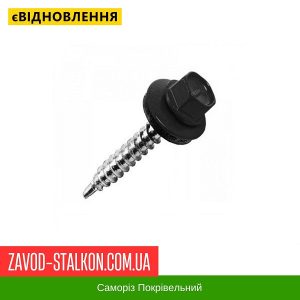 Саморіз Покрівельний по дереву 4,8*35 мм – RAL 9005