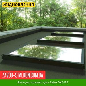 Вікно для плоского даху Fakro DXG P2 – 100*100
