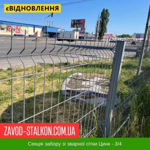 Секція паркану зварної сітки 3Д Цинк – 3/4 – 1000*2500