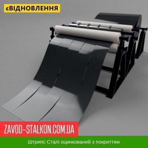 Штрипс у Вінниці